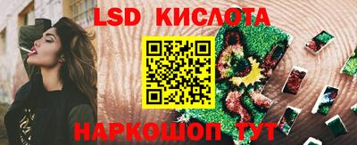 кокс Кингисепп