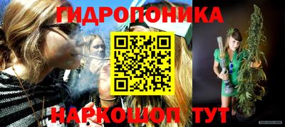 крисы Бийск