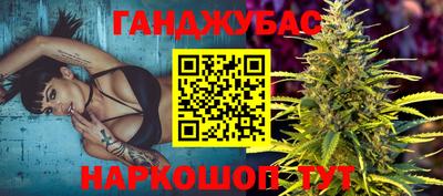 кокс Кингисепп
