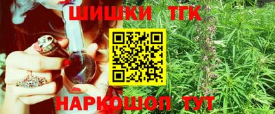 крисы Бийск