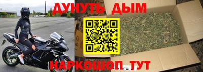 кокс Кингисепп