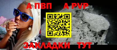 кокс Кингисепп