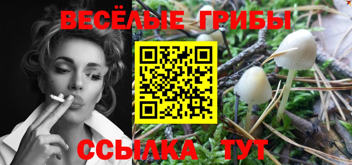Псилоцибиновые грибы мухоморы Глазов
