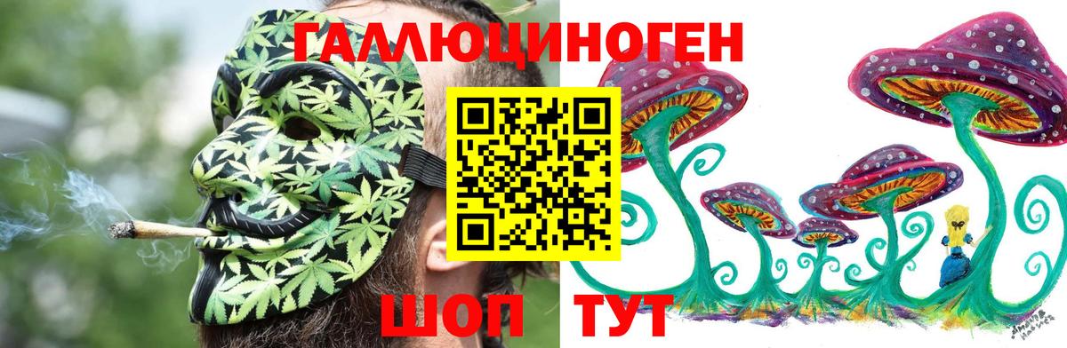 Галлюциногенные грибы Psilocybe  Вход с VPN  Глазов 