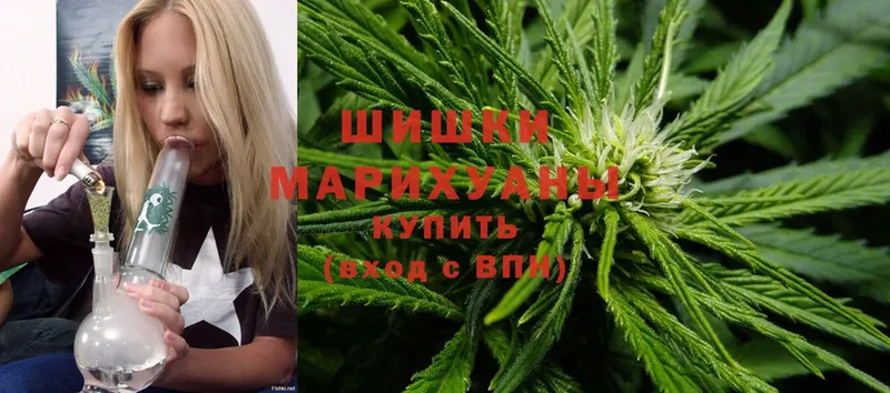 Шишки марихуана сатива  Глазов 